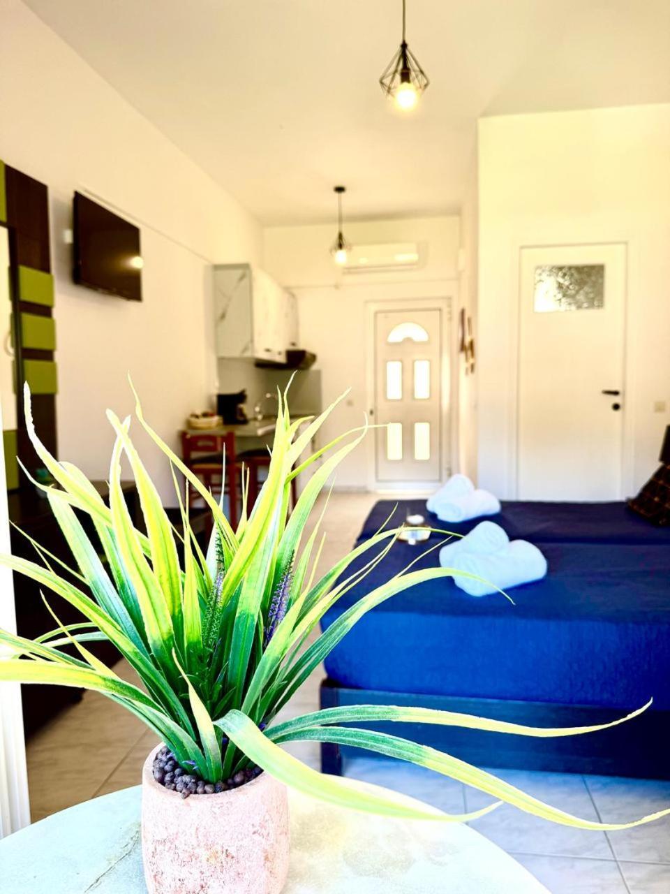 Marina Studios Sidari  Luaran gambar